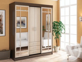 Шкаф-купе Лидер 1К(ст.меб.) в Обь - mebel154.com