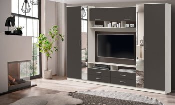 ШМЦ Вена  91.01 с зеркалом в Обь - mebel154.com