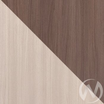 Шкаф-купе Лидер 1К(ст.меб.) в Обь - mebel154.com