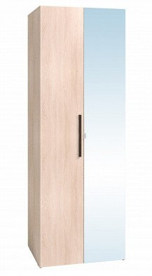 Шкаф для одежды 2-х дверный 8 Bauhaus в Обь - mebel154.com