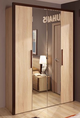 Шкаф для одежды 2-х дверный 9 Bauhaus в Обь - mebel154.com