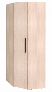 Шкаф для одежды угловой 12 Bauhaus в Обь - mebel154.com