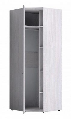 Шкаф для одежды угловой 56 Paola в Обь - mebel154.com