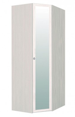 Шкаф для одежды угловой с зеркалом 56-2 Марсель в Обь - mebel154.com