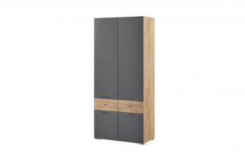 Шкаф 2-х Дублин в Обь - mebel154.com